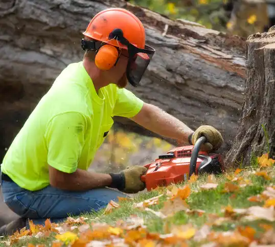 tree services Myers Corner